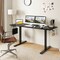 63” Electric Standing Desk Adjustable Height Sit Stand Table with Memory Preset